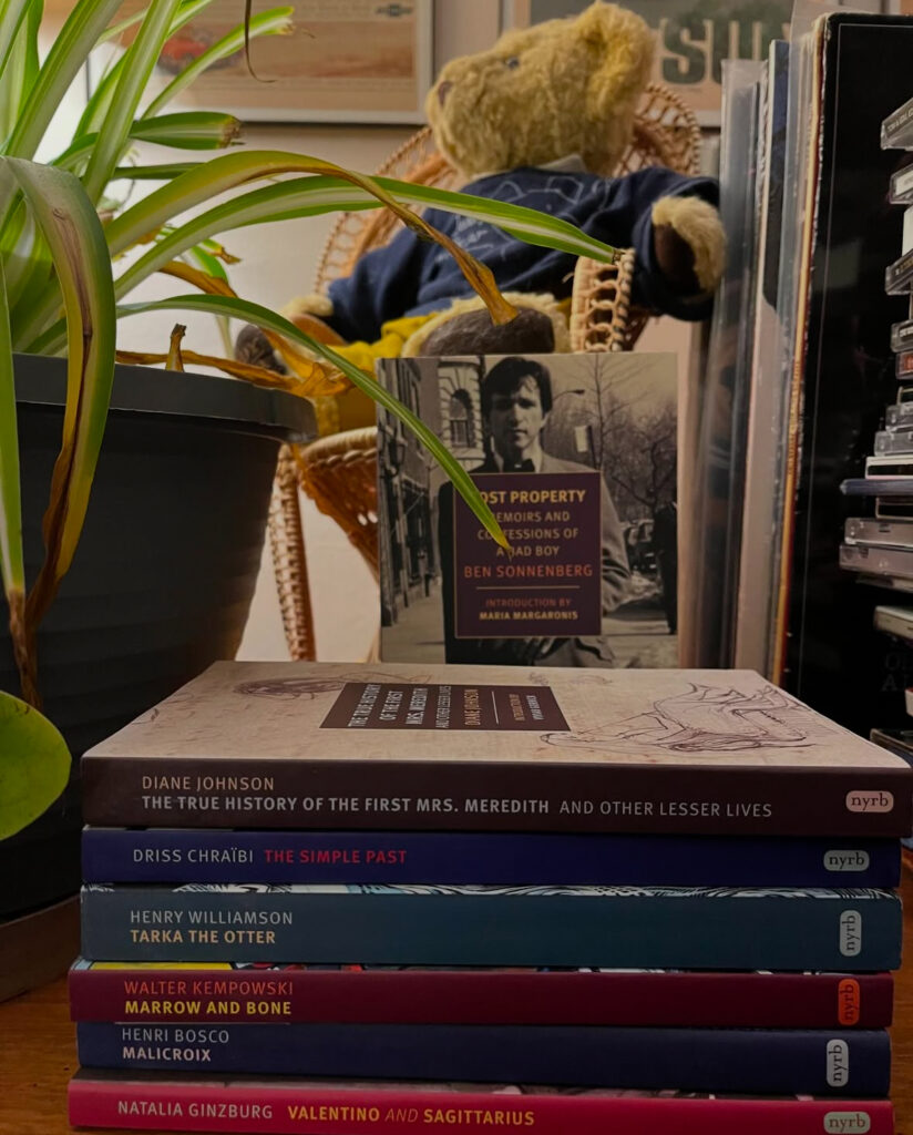 A potted plant, a teddy bear, several books and a stack of CDs